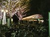 kegopark9.jpg